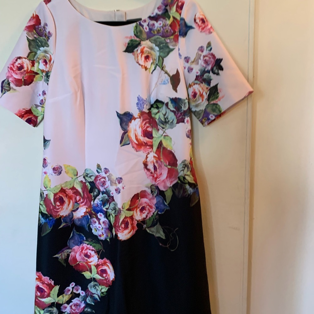 Adrianna Papell Pink and Black Floral Midi Dress